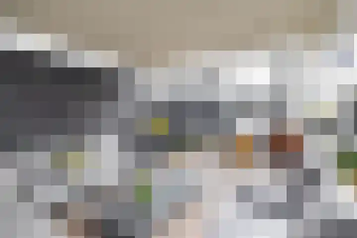 De Scheifelaar 626 Veghel thumbnail 34