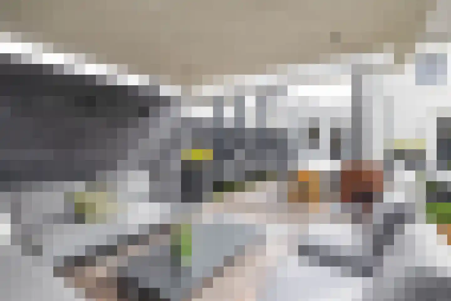 De Scheifelaar 626 Veghel thumbnail 34