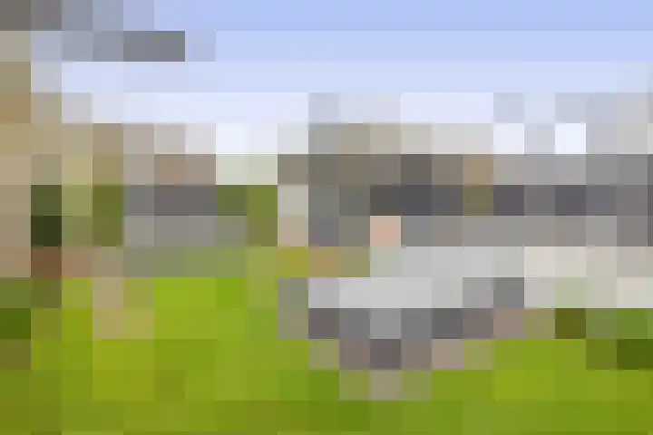 De Scheifelaar 626 Veghel thumbnail 35