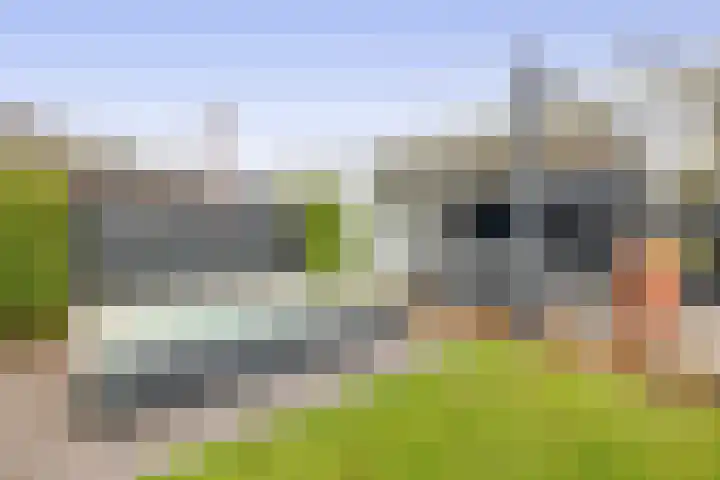 De Scheifelaar 626 Veghel thumbnail 36