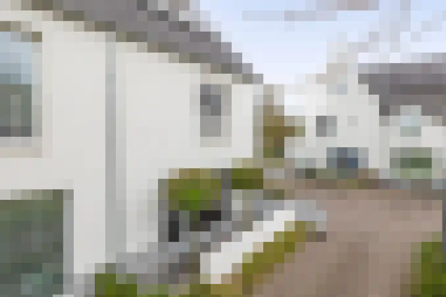 De Scheifelaar 626 Veghel thumbnail 38