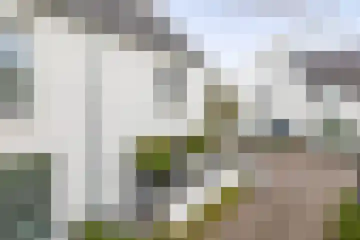 De Scheifelaar 626 Veghel thumbnail 38