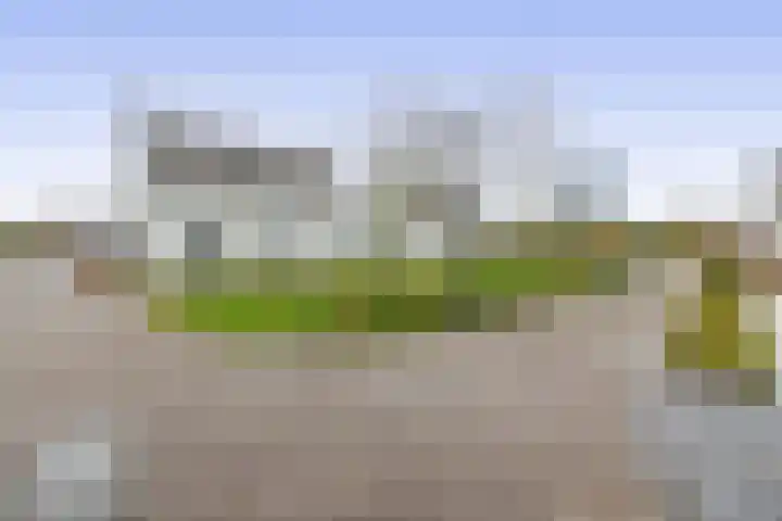 De Scheifelaar 626 Veghel thumbnail 39