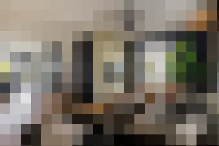 De Scheifelaar 626 Veghel thumbnail 4