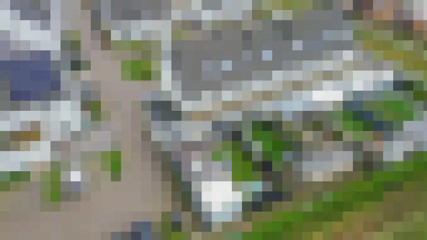 De Scheifelaar 626 Veghel thumbnail 40