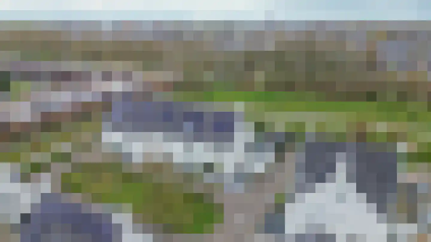 De Scheifelaar 626 Veghel thumbnail 41