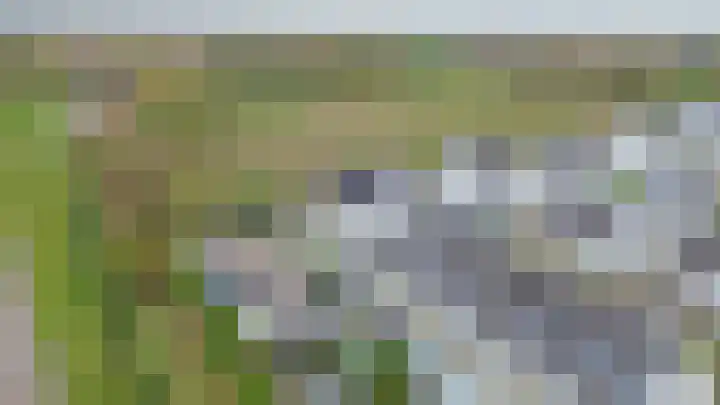 De Scheifelaar 626 Veghel thumbnail 42