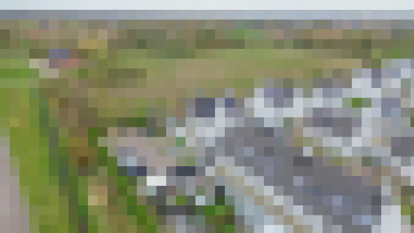 De Scheifelaar 626 Veghel thumbnail 42