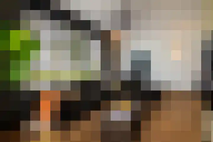 De Scheifelaar 626 Veghel thumbnail 5