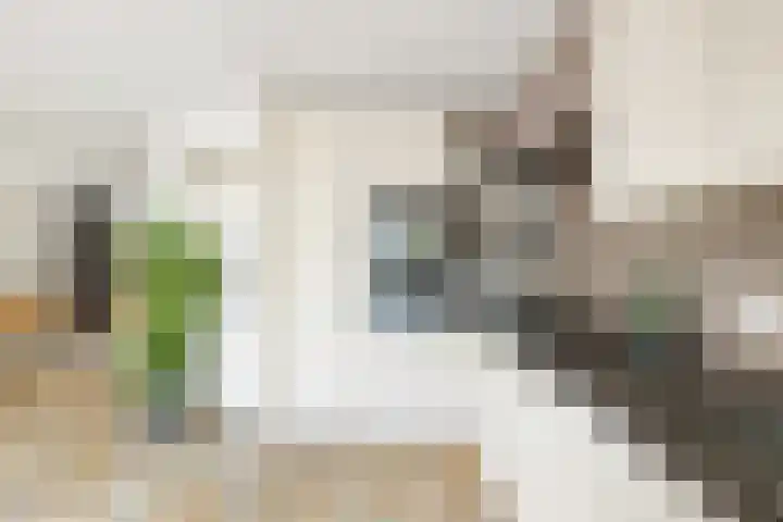 De Schelf 1 Berkel-Enschot thumbnail 13