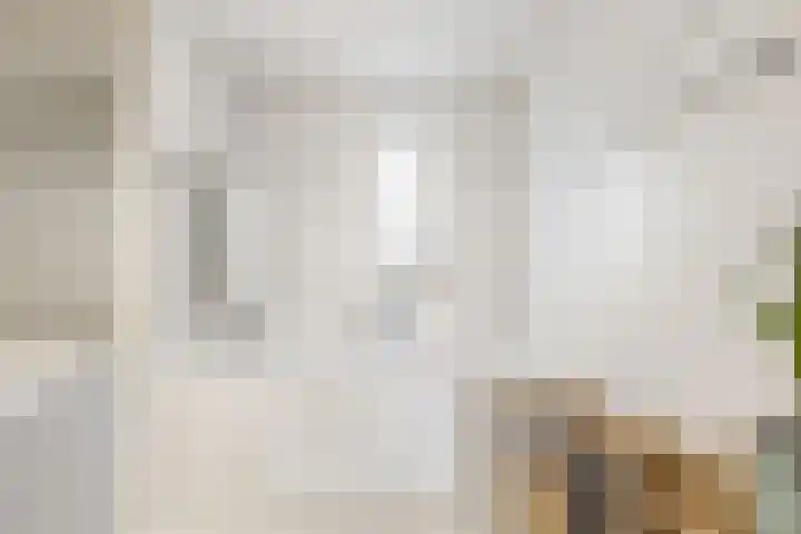 De Schelf 1 Berkel-Enschot thumbnail 22
