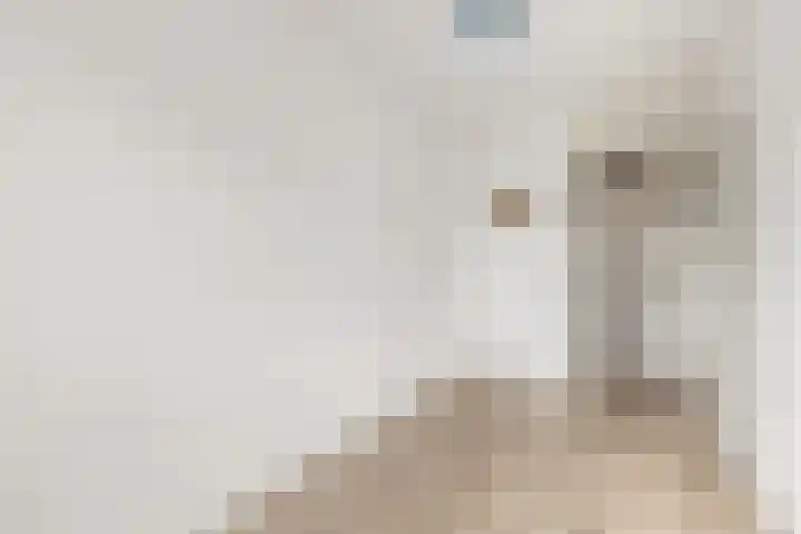 De Schelf 1 Berkel-Enschot thumbnail 30