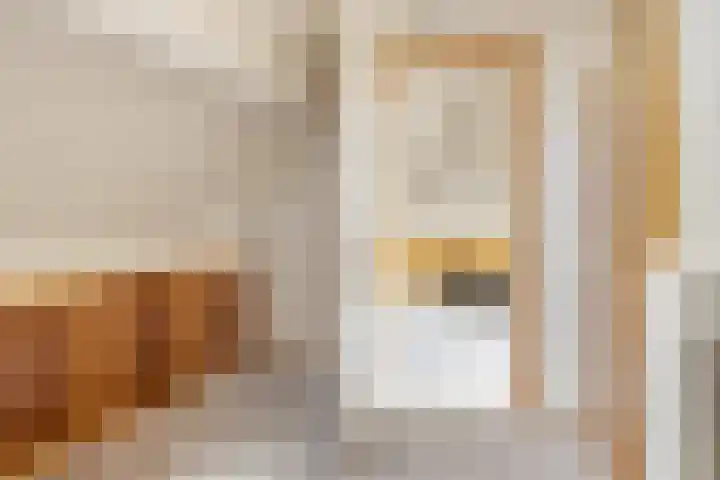 De Schelf 1 Berkel-Enschot thumbnail 37