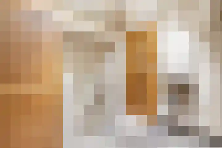 De Schelf 1 Berkel-Enschot thumbnail 38