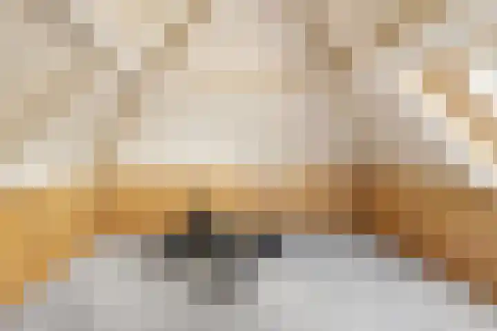 De Schelf 1 Berkel-Enschot thumbnail 39