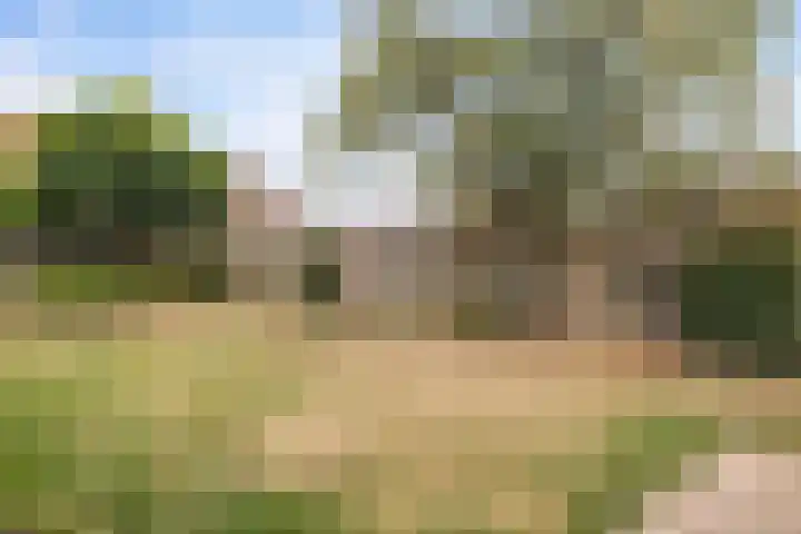 De Schelf 1 Berkel-Enschot thumbnail 42