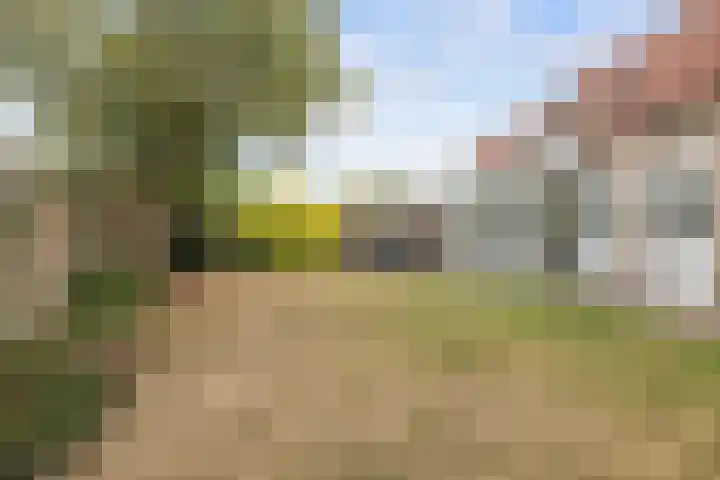 De Schelf 1 Berkel-Enschot thumbnail 47