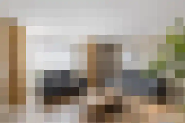 De Schelf 1 Berkel-Enschot thumbnail 6