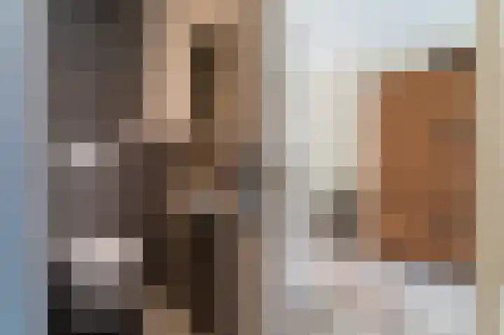 De Schelf 12 Berkel-Enschot thumbnail 16