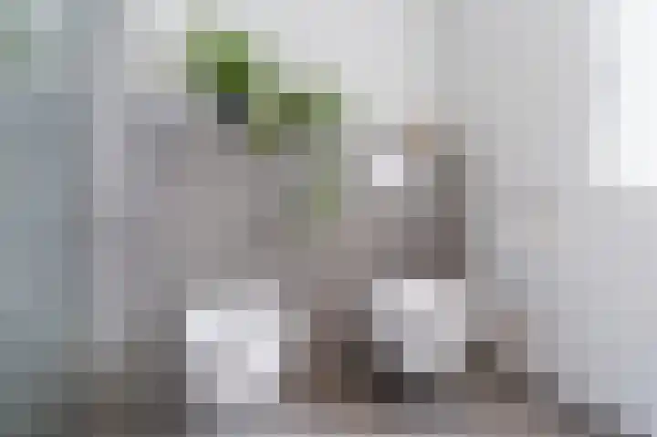 De Schelf 12 Berkel-Enschot thumbnail 32