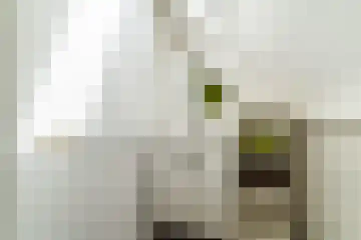 De Schelf 12 Berkel-Enschot thumbnail 37