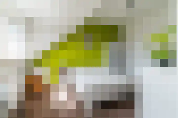 De Schelf 12 Berkel-Enschot thumbnail 38