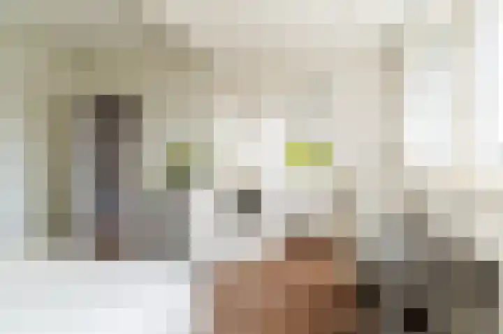 De Schelf 12 Berkel-Enschot thumbnail 39