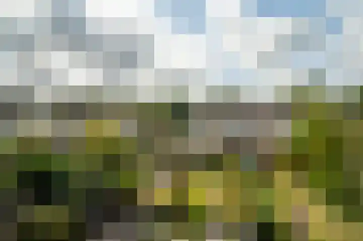 De Schelf 12 Berkel-Enschot thumbnail 41