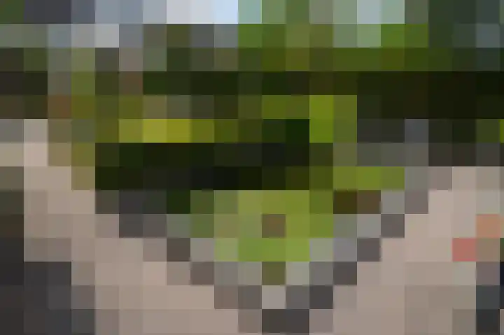 De Schelf 12 Berkel-Enschot thumbnail 47