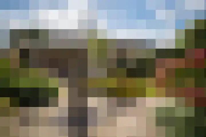 De Schelf 12 Berkel-Enschot thumbnail 49