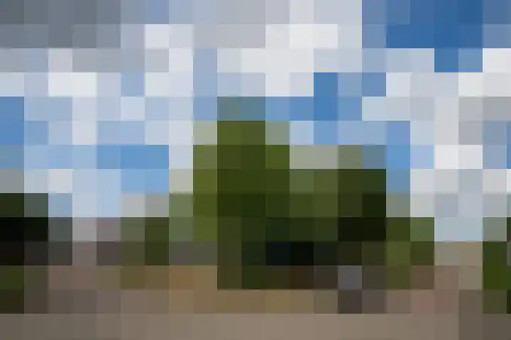 De Schelf 12 Berkel-Enschot thumbnail 57