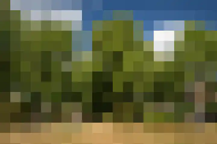 De Schelf 12 Berkel-Enschot thumbnail 58