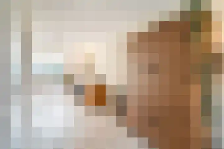 De Schelf 12 Berkel-Enschot thumbnail 7