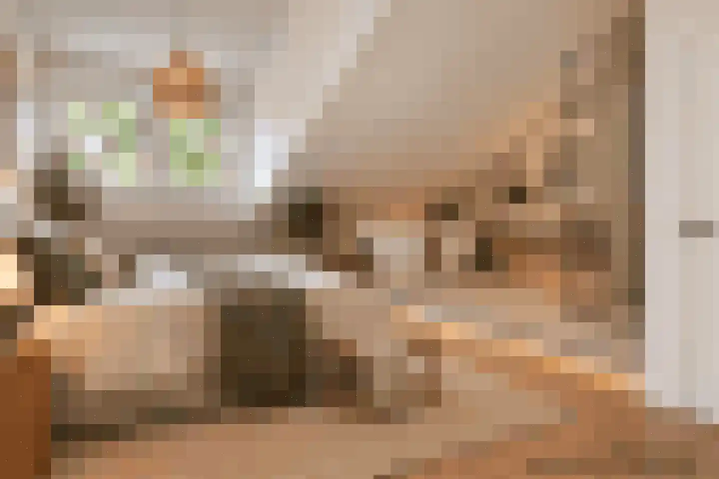De Schelf 25 Oisterwijk thumbnail 34