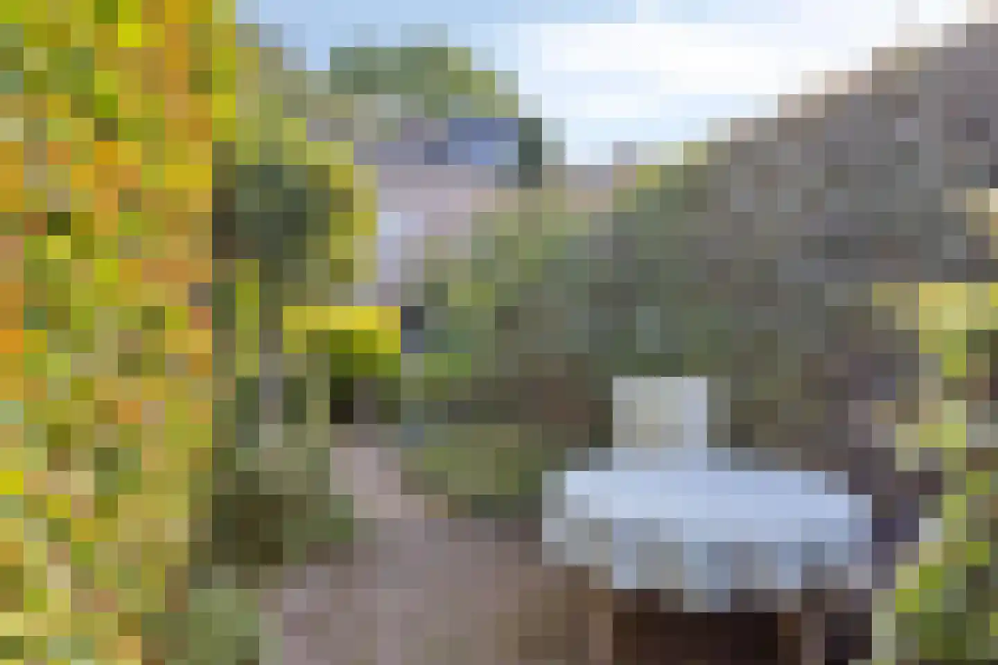 De Schelf 25 Oisterwijk thumbnail 39