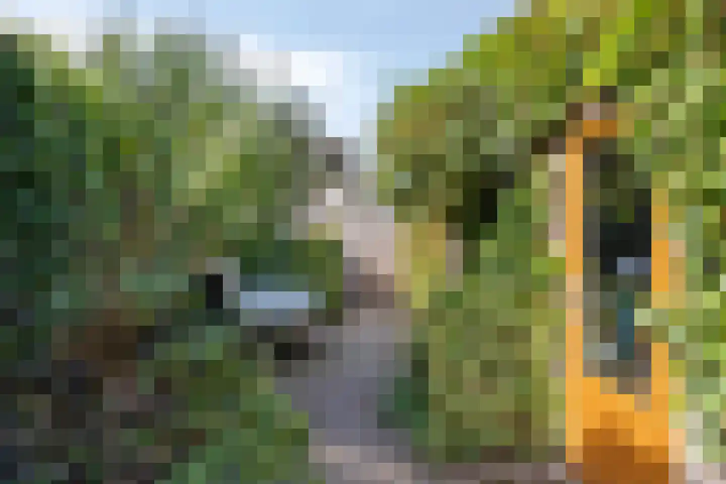 De Schelf 25 Oisterwijk thumbnail 42