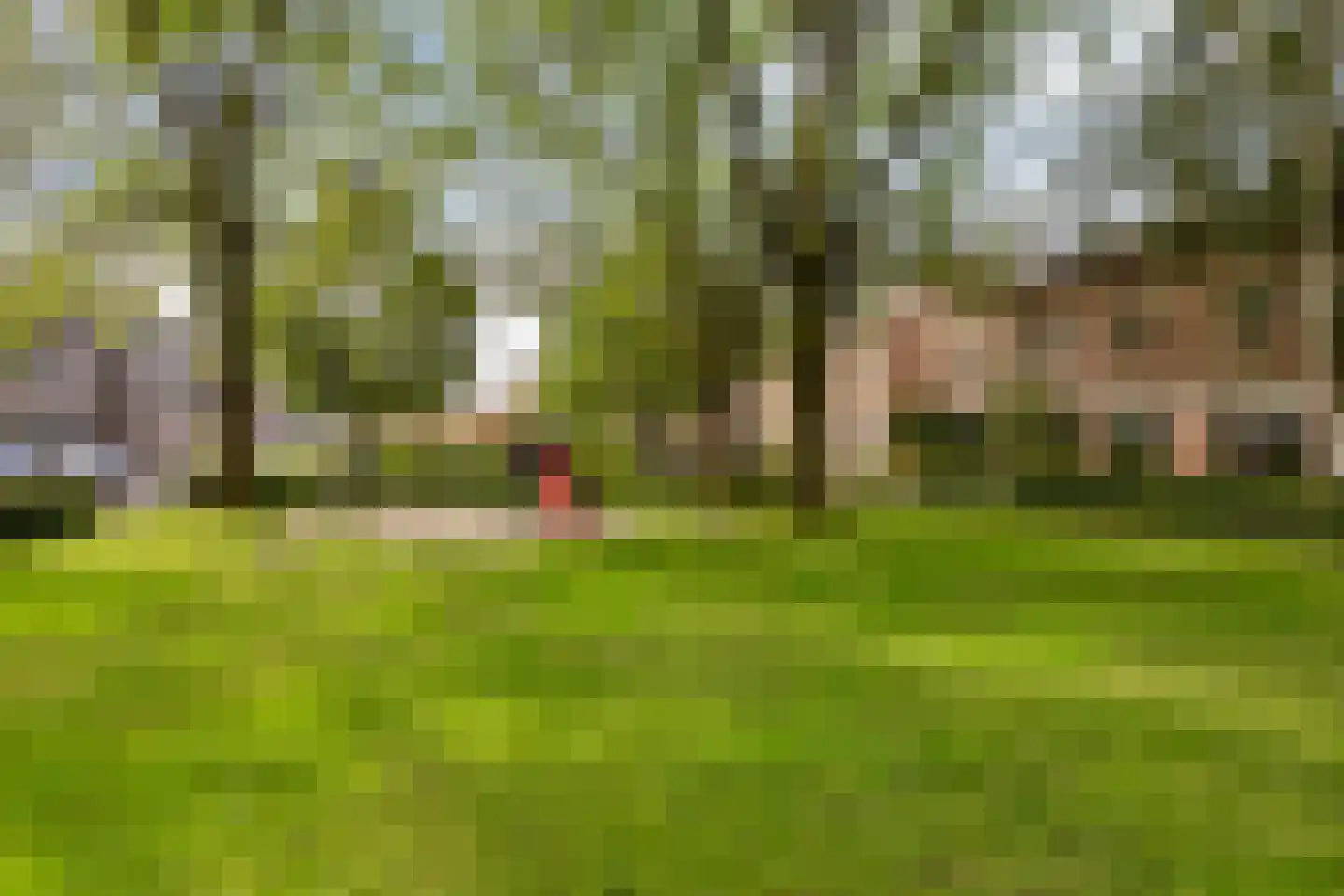 De Schelf 25 Oisterwijk thumbnail 45
