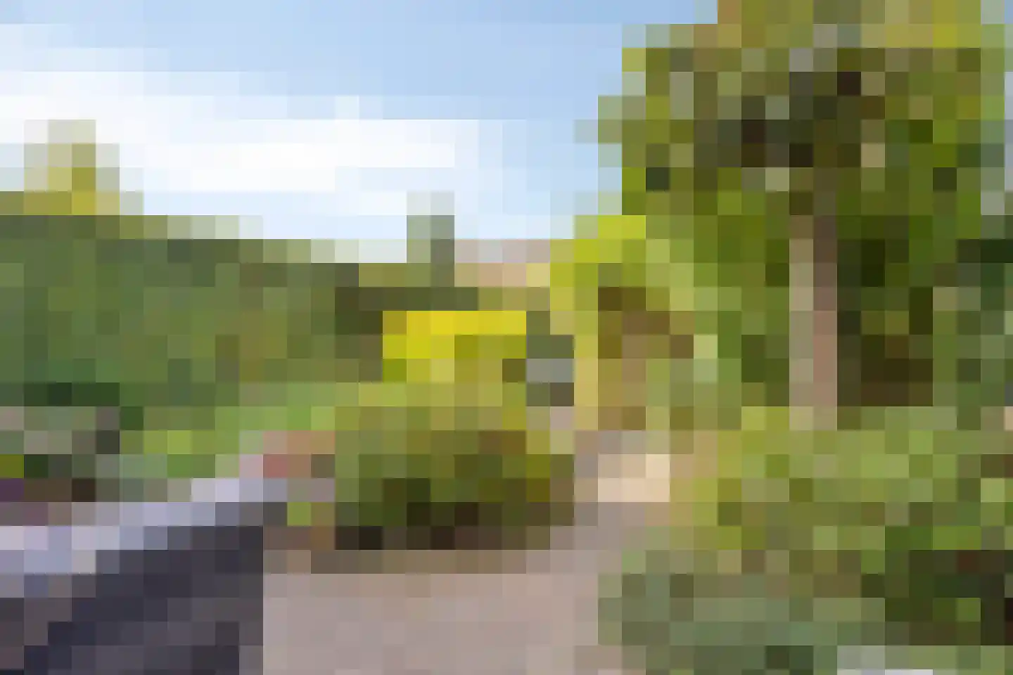 De Schelf 25 Oisterwijk thumbnail 5