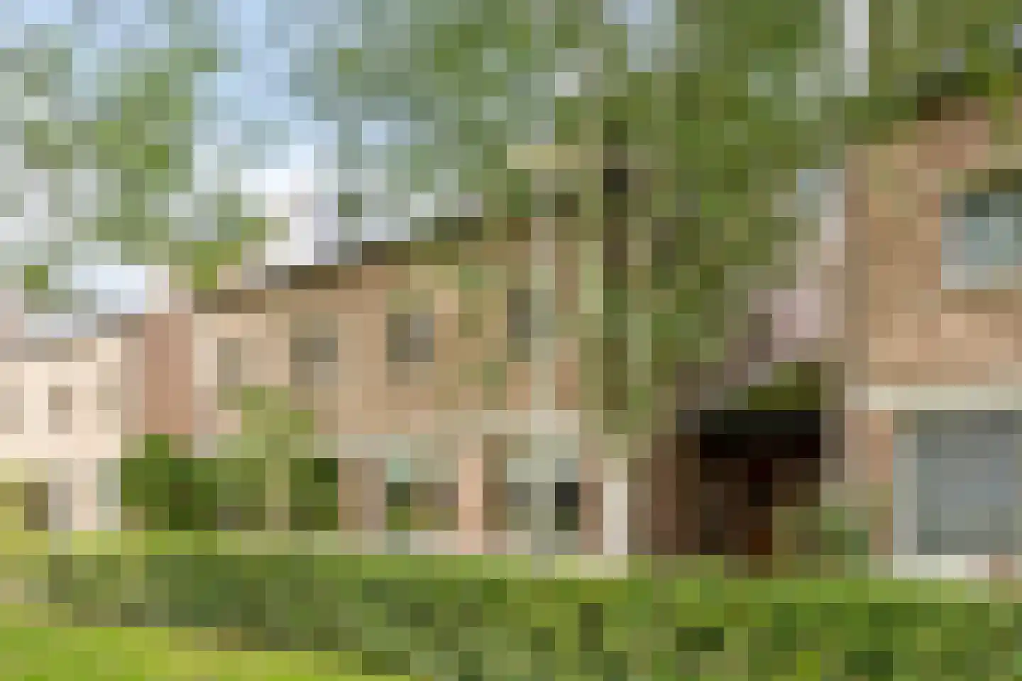 De Schelf 25 Oisterwijk thumbnail 7