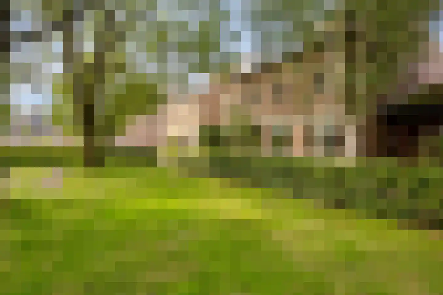 De Schelf 25 Oisterwijk thumbnail 8