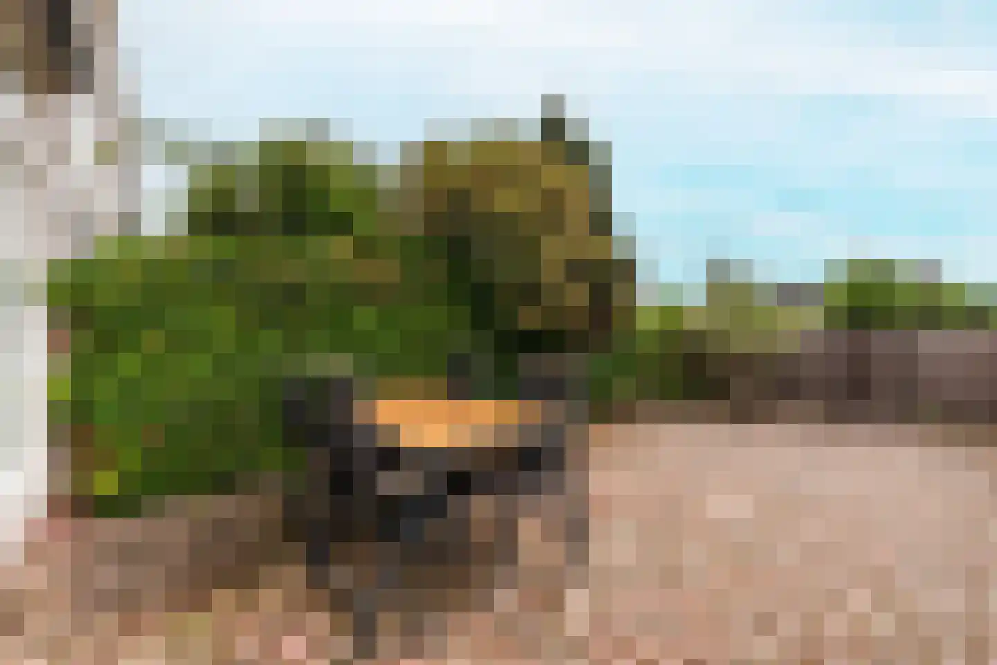 De Schelp 14 Zandvoort thumbnail 13
