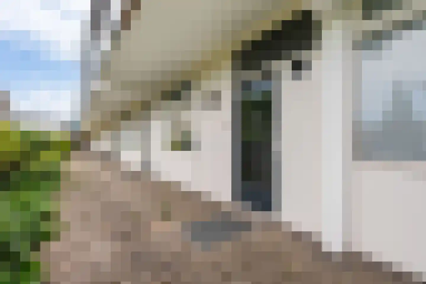 De Schelp 14 Zandvoort thumbnail 14