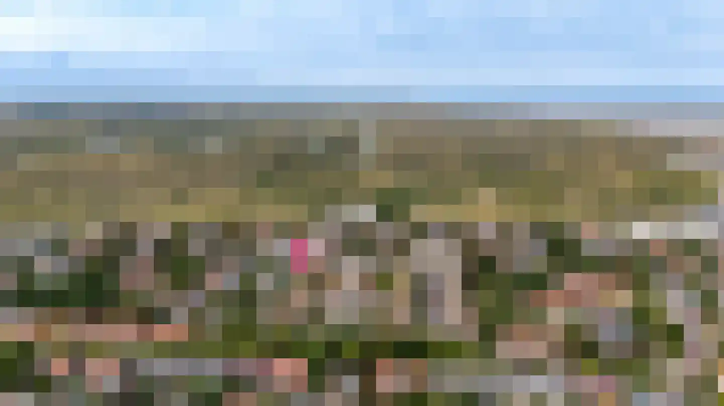 De Schelp 14 Zandvoort thumbnail 19