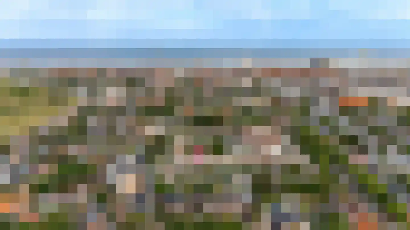 De Schelp 14 Zandvoort thumbnail 20