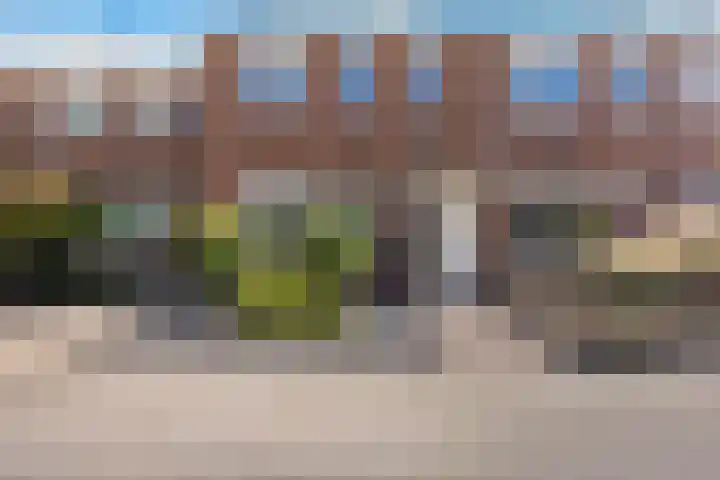 De Schelp 4 Holwierde