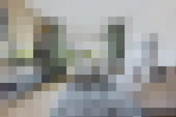 De Schelp 4 Holwierde thumbnail 11