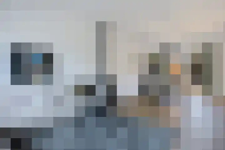 De Schelp 4 Holwierde thumbnail 12