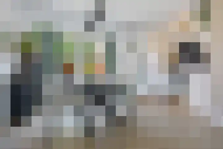 De Schelp 4 Holwierde thumbnail 13