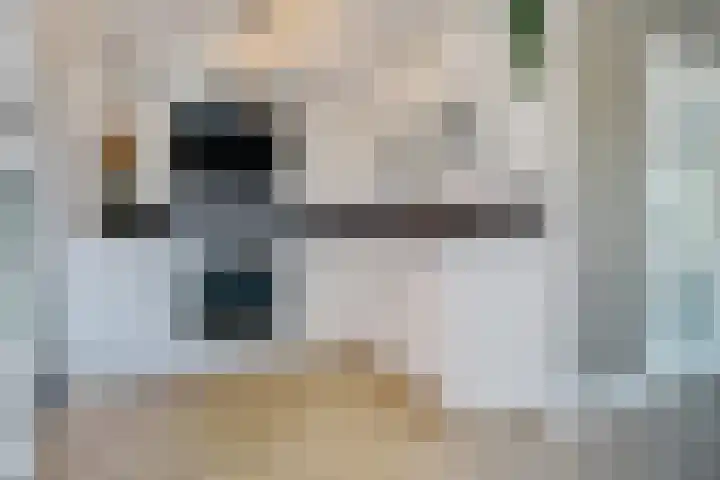 De Schelp 4 Holwierde thumbnail 14