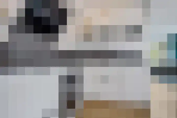 De Schelp 4 Holwierde thumbnail 15